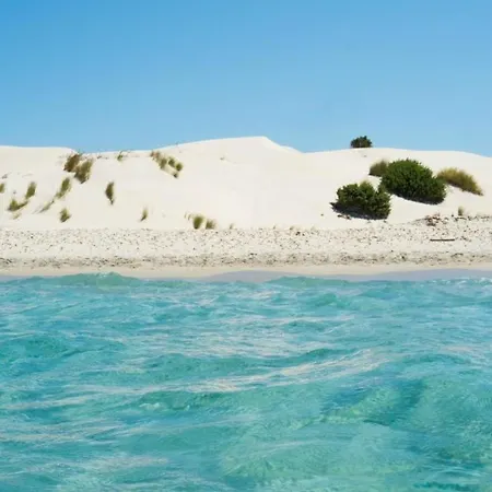 La Bouganville * Giba